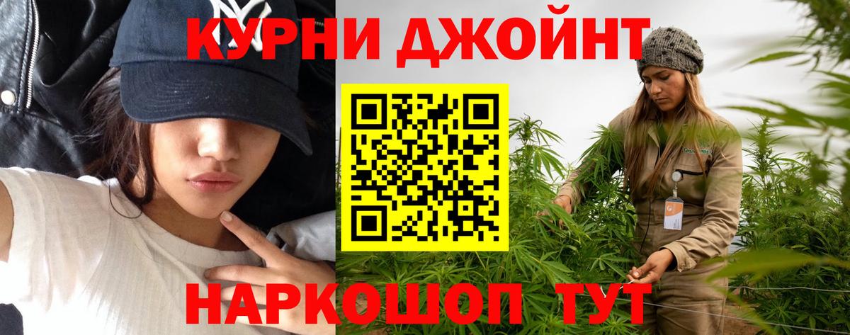 Кировск  Конопля тримм  Вход с VPN  Конопля ГИДРОПОН  Конопля Amnesia  Бошки марихуана марихуана 